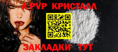 прущие грибы Будённовск
